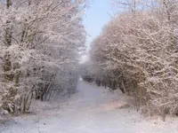 Dersau im Winter