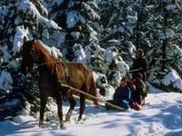 Pferdeschlitten im Winter
