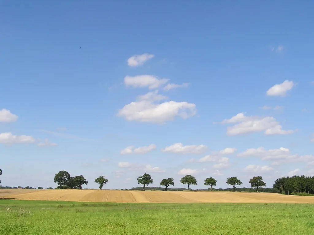 Umgebung von Dersau